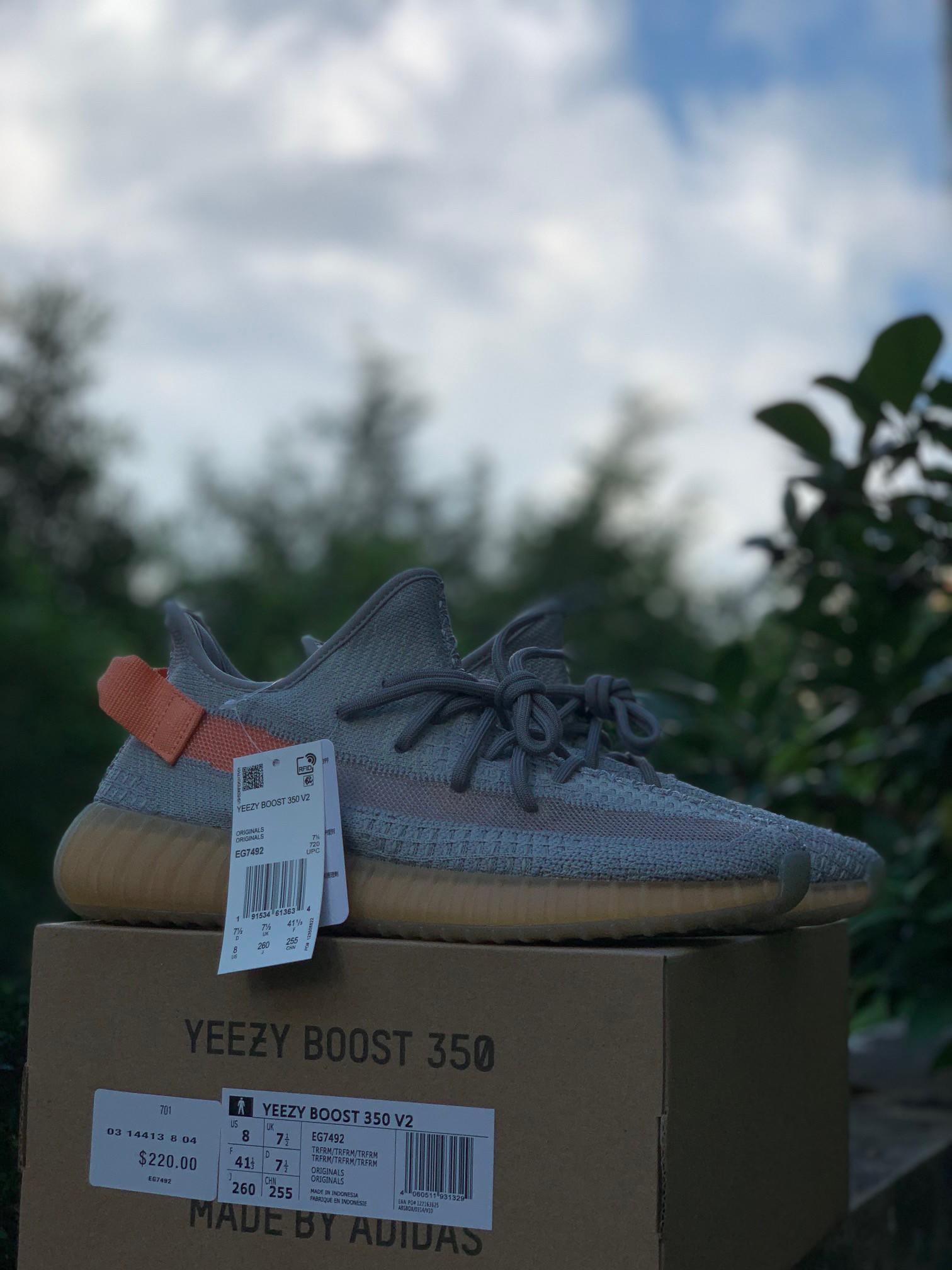 🇬🇧Yeezy 350 V2 Trfrm